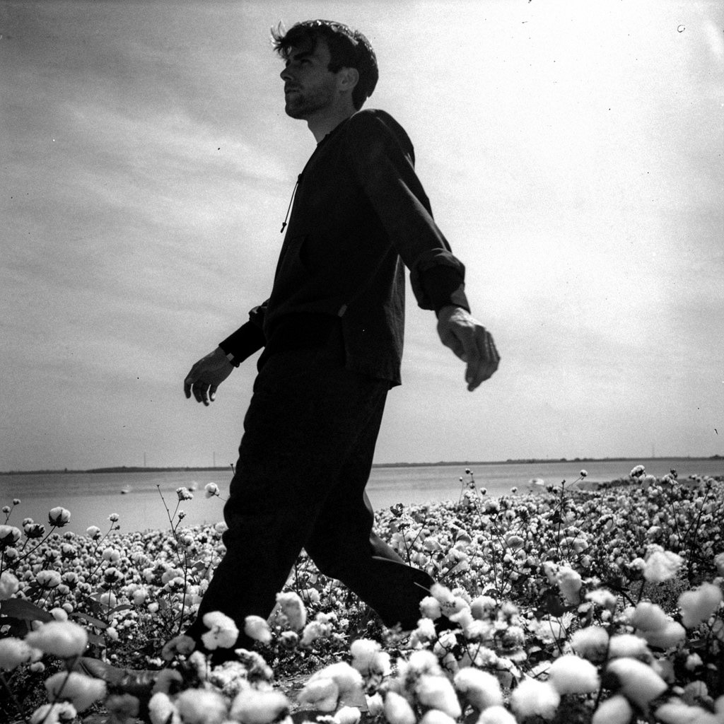 Walking through a cotton field